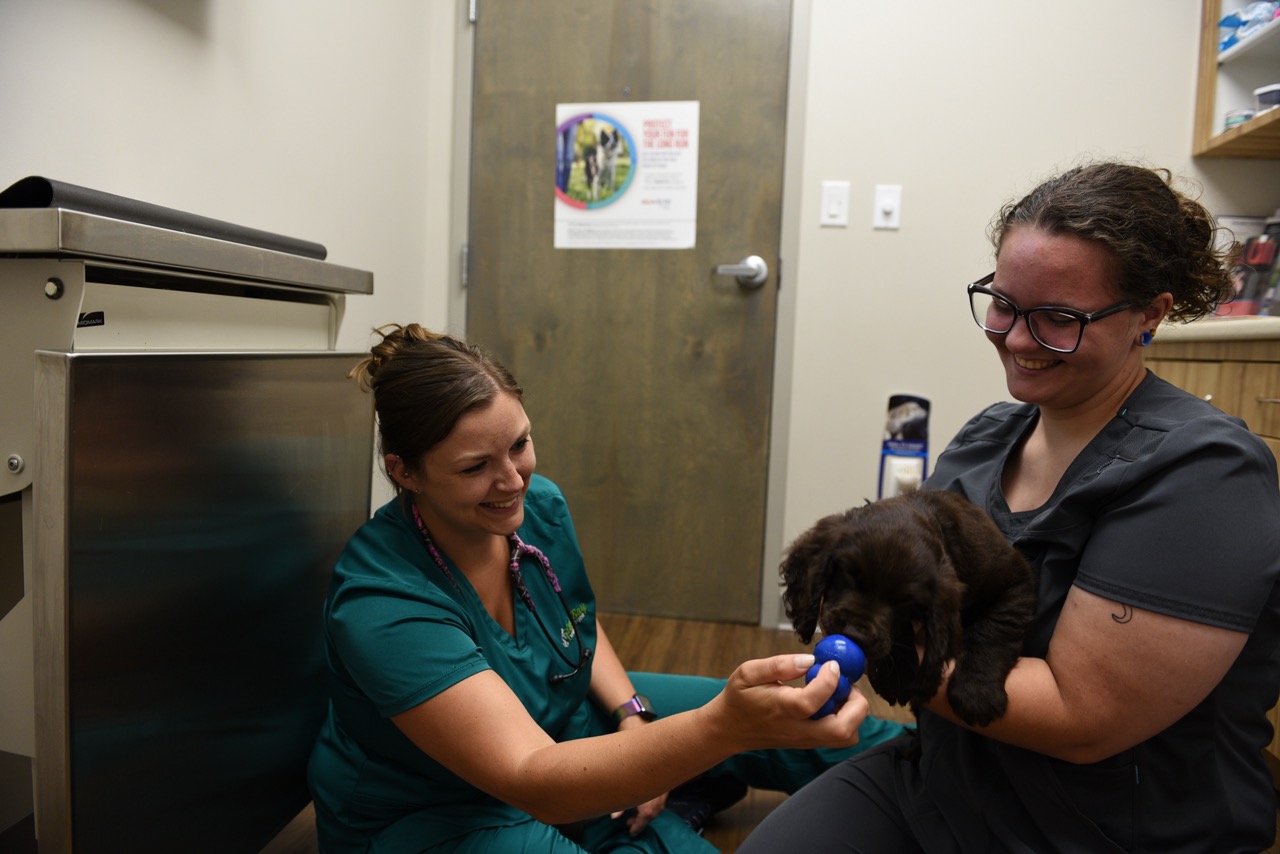 HighQuality Vet Hospital in Summerville, SC Cane Bay Veterinary Clinic